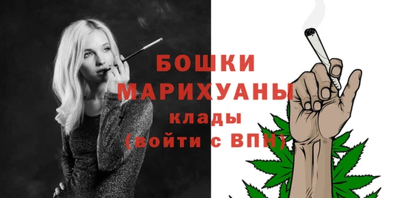 гидра Сосновоборск