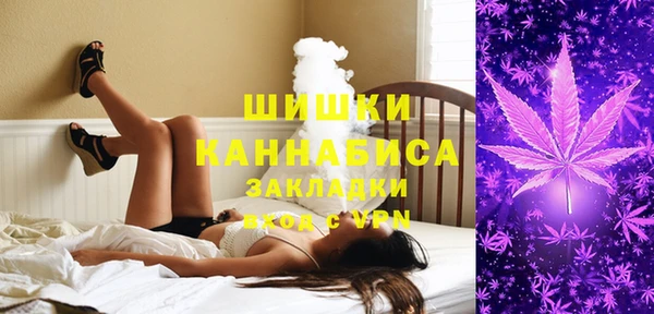 прущая мука Гусиноозёрск